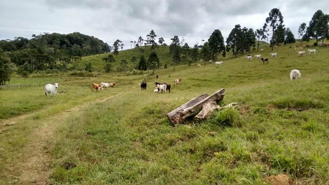 Fazenda anitápolis - Foto 12