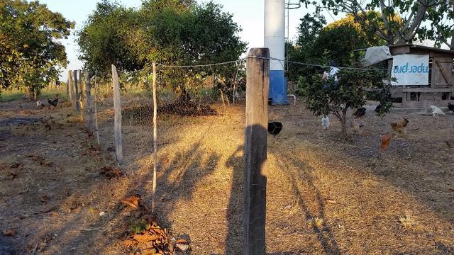 Sitio para arrendamento na região do aricazinho, pedra 90 - Foto 13