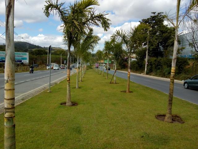 Lotes Região Metropolitana De BH, Com Documentos