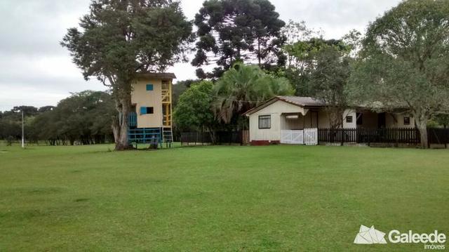 Chacara|Área com 60.000m² em São José dos Pinhais