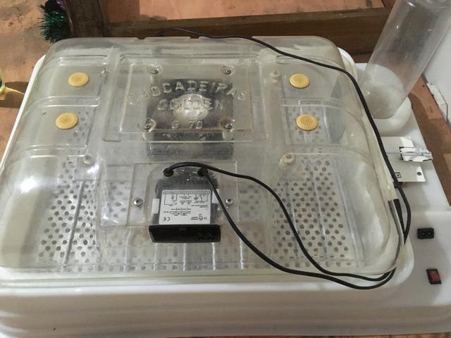 Chocadeira eletroeletrônica - Foto 4
