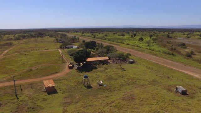 Fazenda 10593 hectares, sendo 7370 formado, terra de cultura - Foto 4