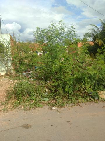 Terreno bairro Dr Fábio 1 - Foto 4