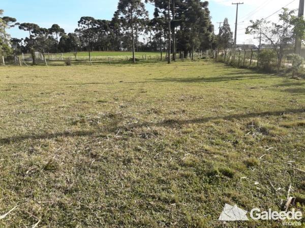 Área Industrial - São José dos Pinhais - Foto 4