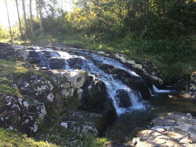 Fazenda anitápolis - Foto 15