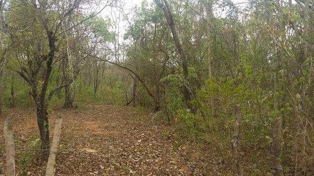 Lote 991m2 - Represa de Três Marias - Felixlândia - Foto 17