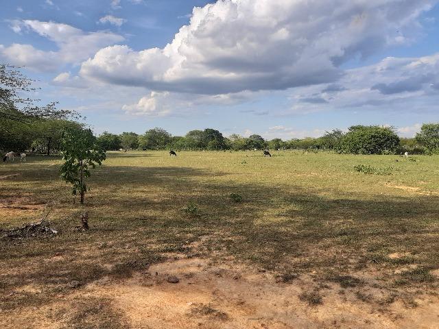 Vendo fazenda em crateus ce ou troco - Foto 10