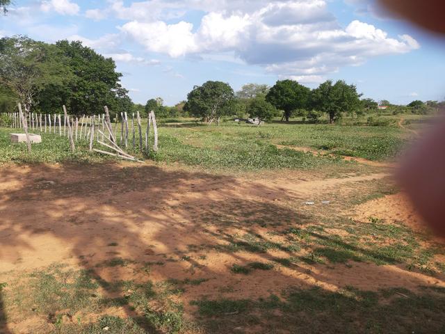 Vendo fazenda em crateus ce ou troco - Foto 2