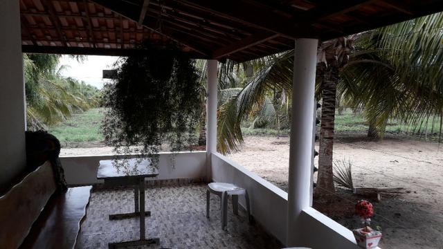 Fazenda em Conde, 45 tarefas - Foto 10