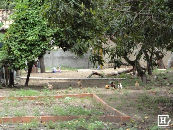 Terreno à venda - mosqueiro (zona de expansão) - Foto 2