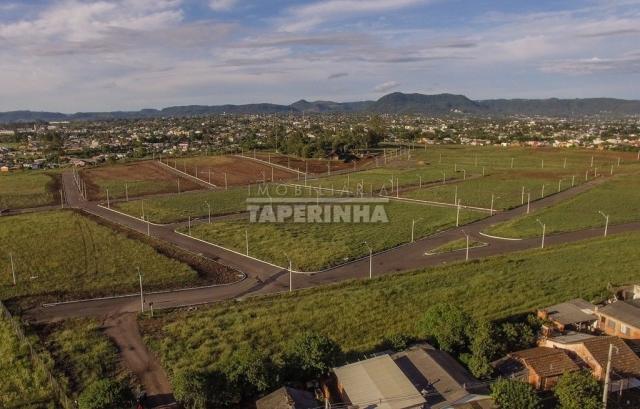 Terreno à venda em Pinheiro machado, Santa maria cod:10767 - Foto 4