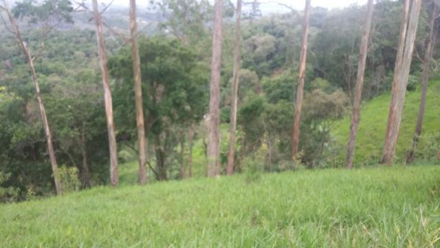 05- Paz em um lote de 1000mt² em área Rural - Foto 18