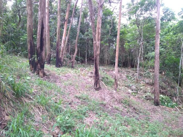 22 - Vendo Lindo Lote de 1000 m² . Garanta Agora !!! - Foto 5