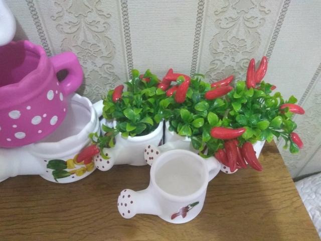 10 cachepot regadores - Foto 4