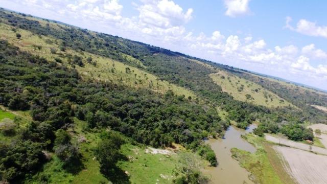 Fazenda em Ipameri (Soja e Pasto ; Beira Asfalto) - Foto 10