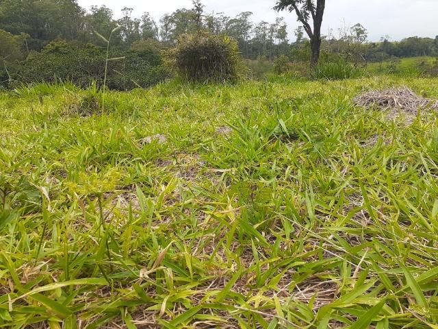 22 - Vendo Lindo Lote de 1000 m² . Garanta Agora !!! - Foto 6