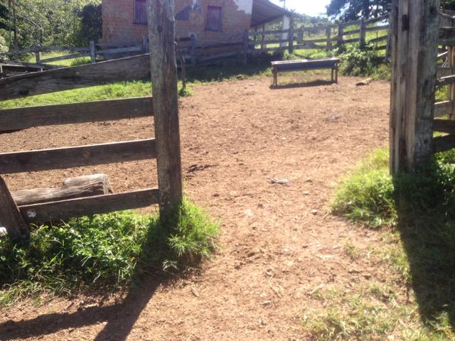 Fazenda caruru Valor R$ 1,400,000 - Foto 3
