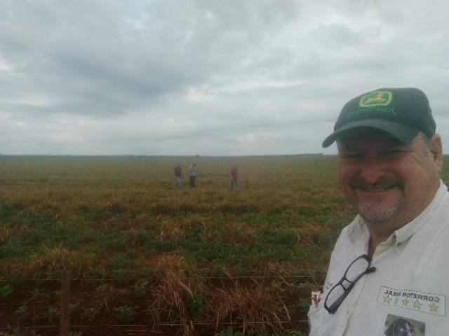 Alugo Fazenda p Arrendamento no Ms 1000 há