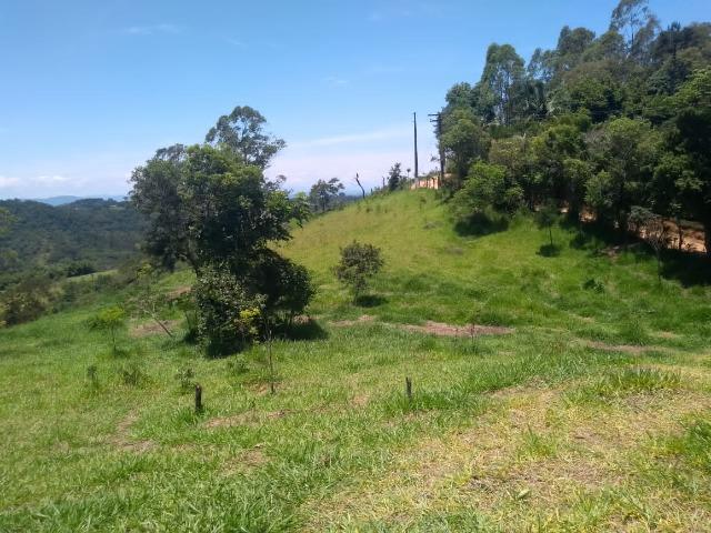 05- Paz em um lote de 1000mt² em área Rural - Foto 5