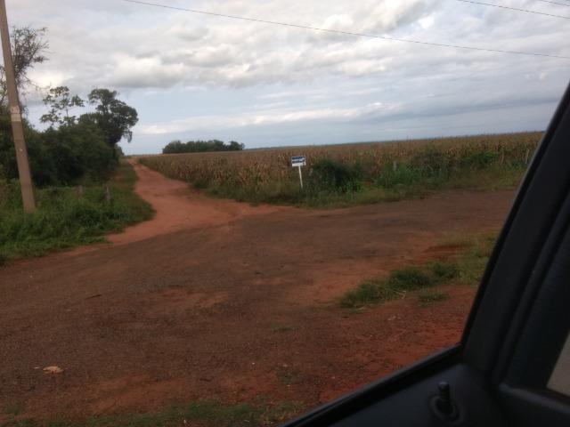 Alugo Fazenda p Arrendamento no Ms 1000 há - Foto 10
