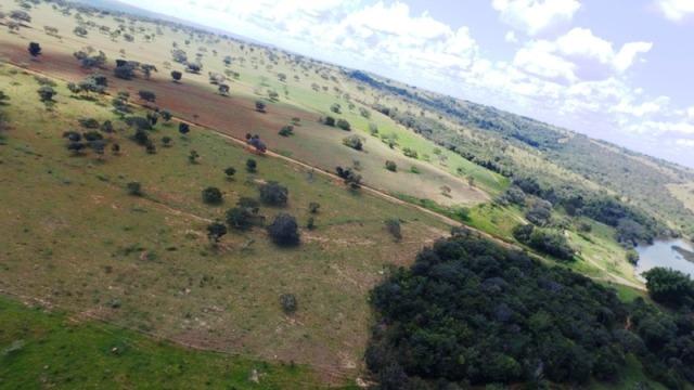 Fazenda em Ipameri (Soja e Pasto ; Beira Asfalto) - Foto 7