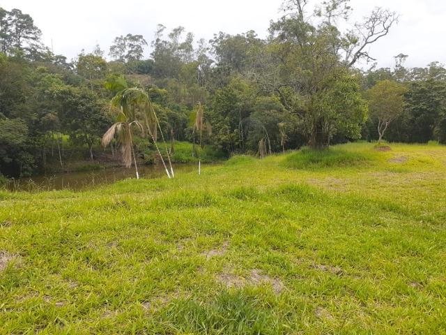05- Paz em um lote de 1000mt² em área Rural