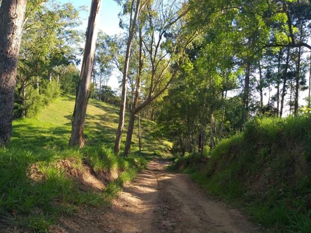 05- Paz em um lote de 1000mt² em área Rural - Foto 9