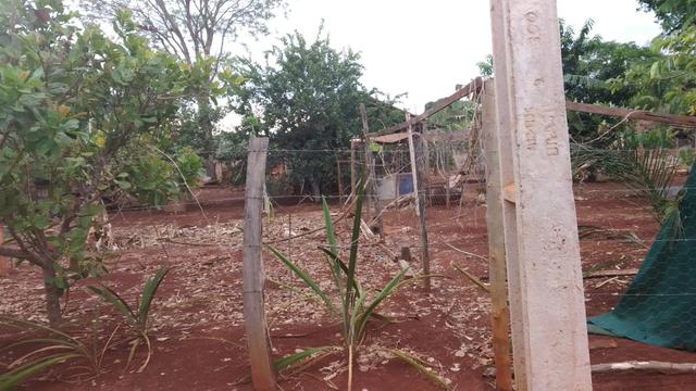 Vendo chácara em Trindade - Foto 6