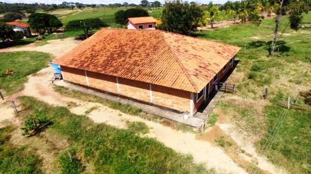 Fazenda em Ipameri (Soja e Pasto ; Beira Asfalto) - Foto 9