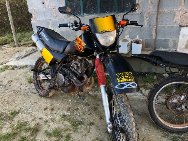 XLX 250