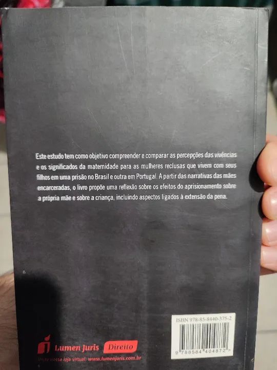 Livro A Maternidade no Meio Prisional - Foto 2