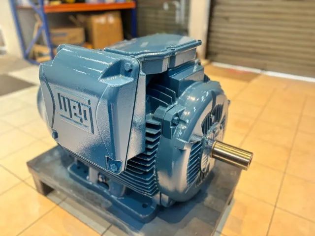 Motor elétrico weg 100cv 6 polos w22 com garantia 