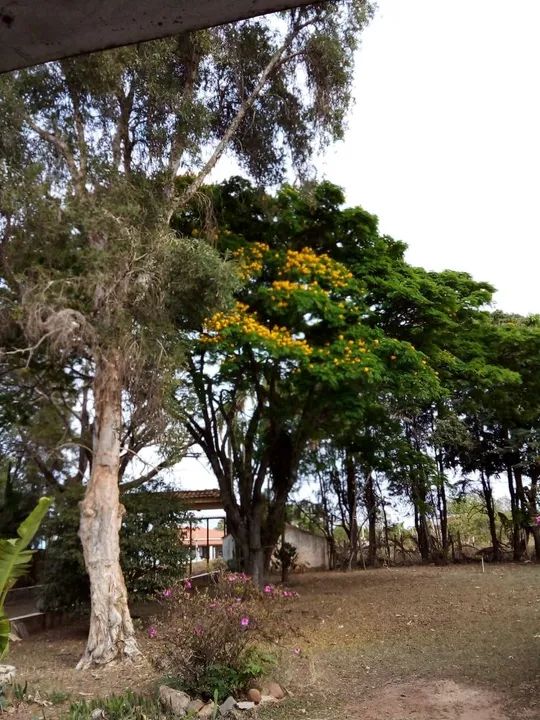 foto - Limeira - Bairro dos Pires