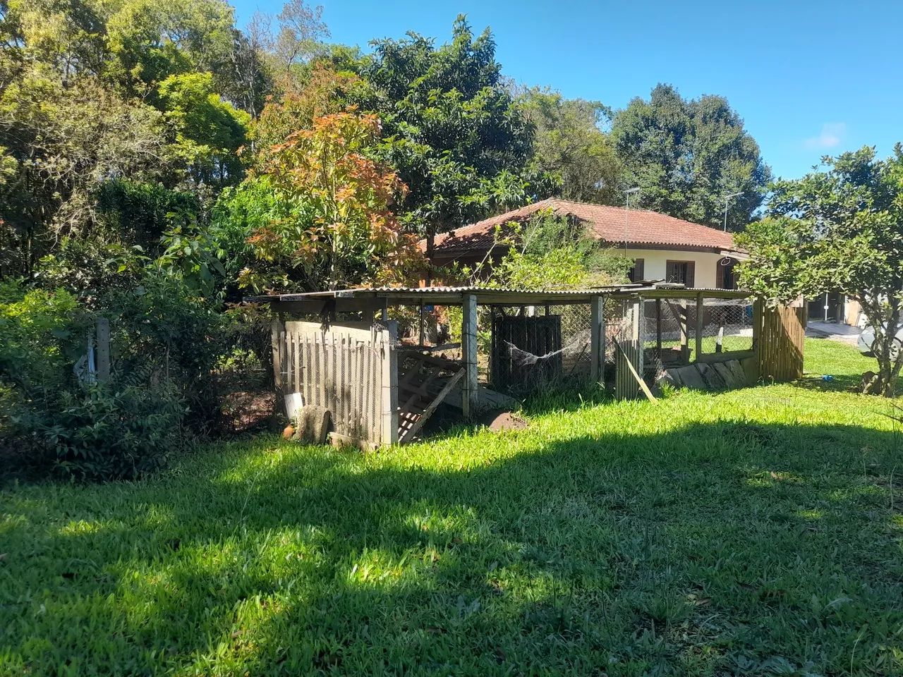 Chácara em São José dos pinhais  - Foto 2