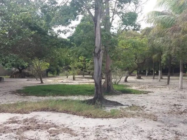 Chácara em Macaíba/RN - Venda ou Aluguel - Foto 3