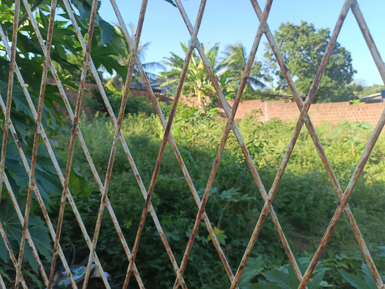 Terreno