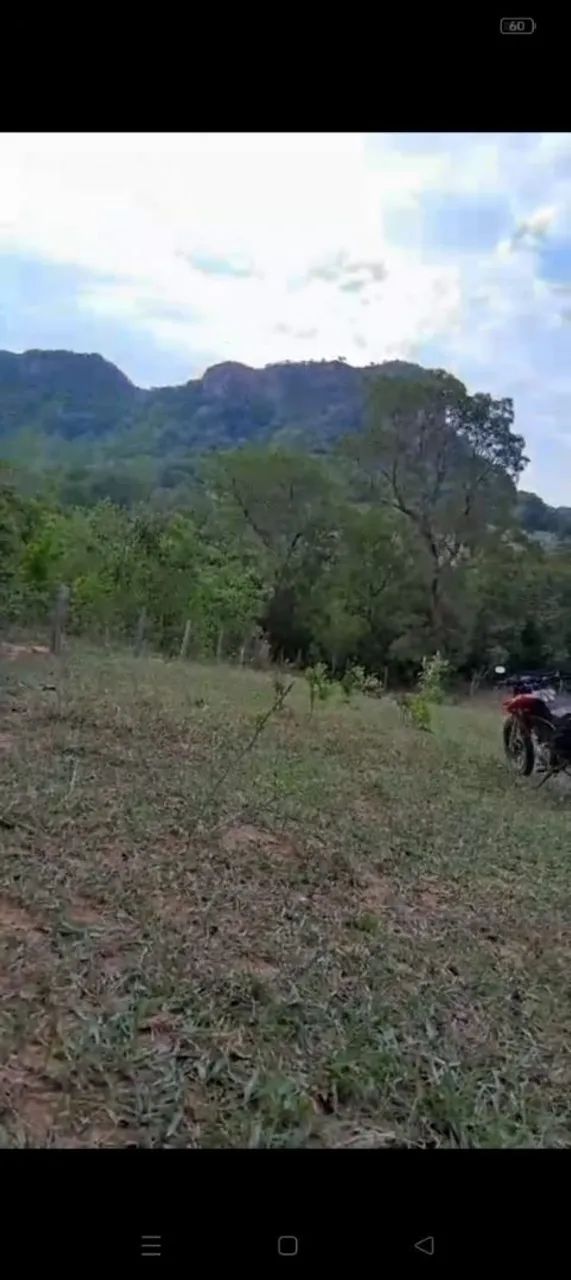 Vendo 97 hectares em Corguinho MS. - Foto 2