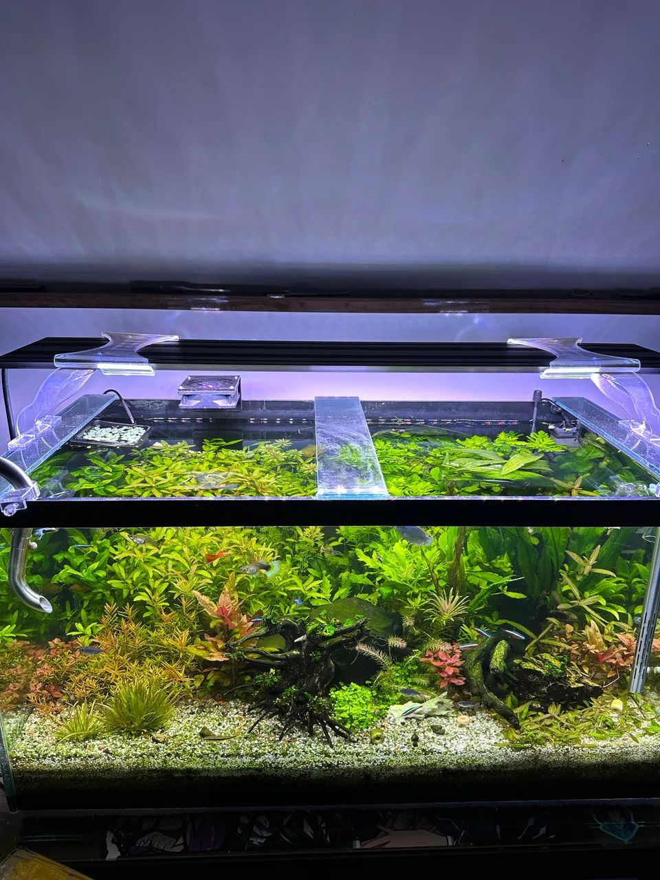 Luminária aquário Oceantech nour plus freshwater 80cm 9200lm
