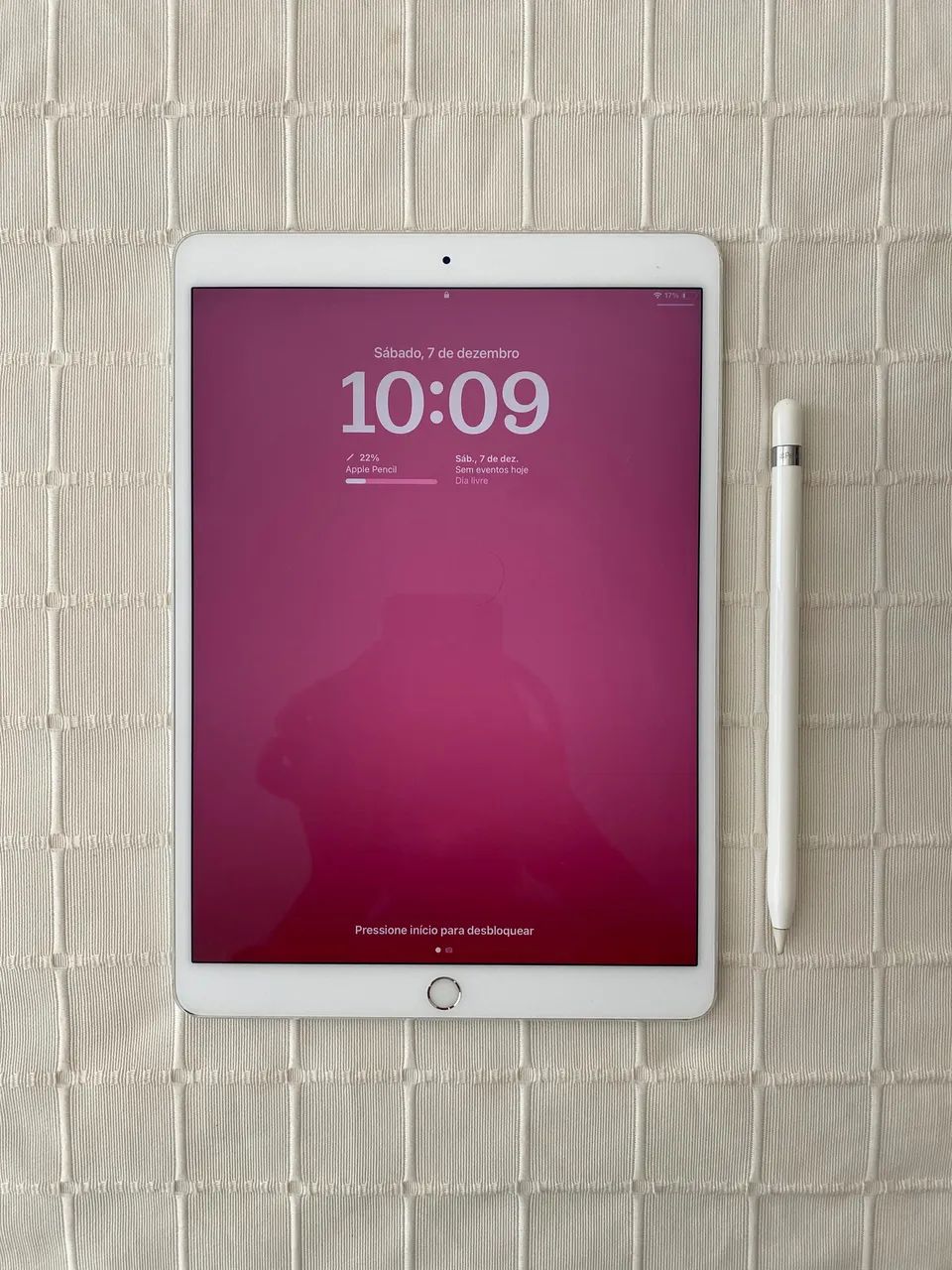 iPad Pro 10.5 + apple pencil 第1世代 iPad Pro 第1世代 10.5 256GB + Apple ペンシル付き iPad Pro (10.5