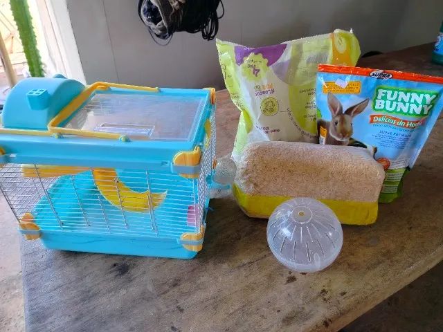 Kit completo para hamster
