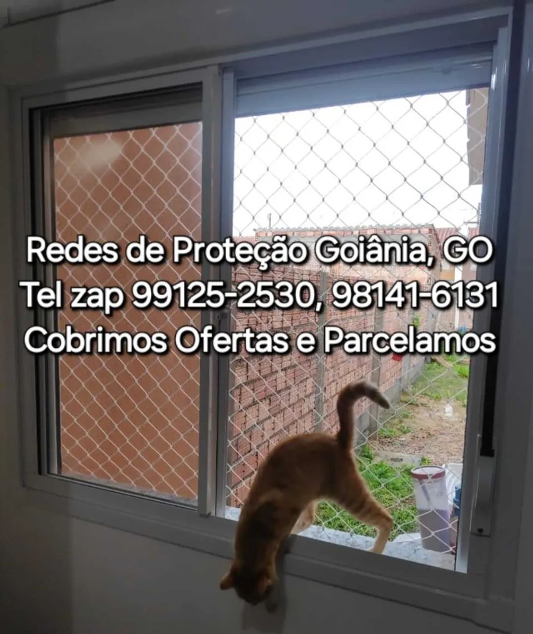 Rede de Proteção - Foto 4