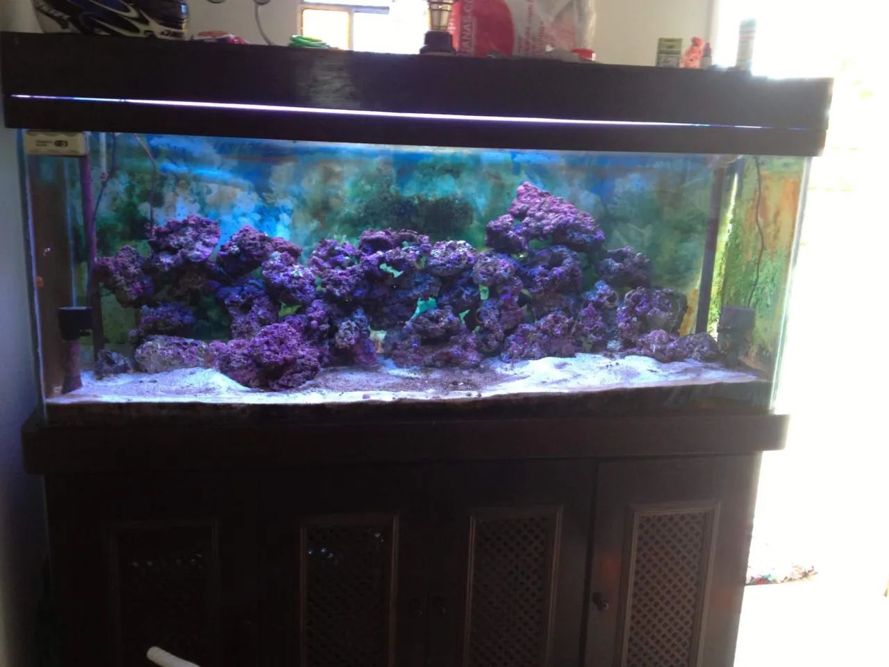 Aquário grande marinho.