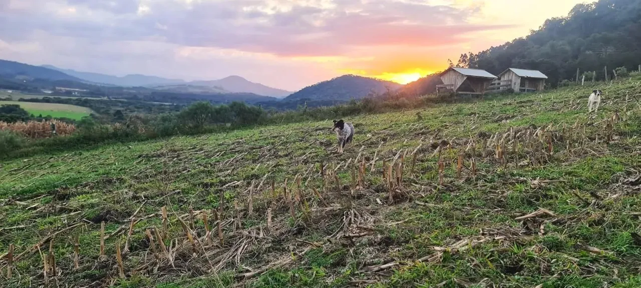 Bom Retiro- Serra Catarinense -Sítio com 10 hectares-