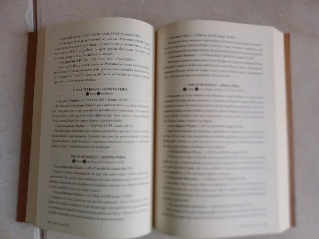 O livro da lua 2024 - Márcia Mattos - Foto 4