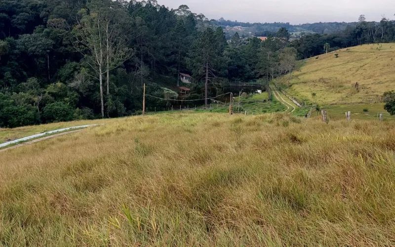 Chalé, casa de campo ou moradia? Aqui dá - Foto 3