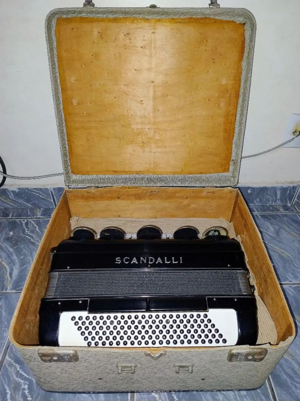 Acordeon "Raridade" - Foto 5