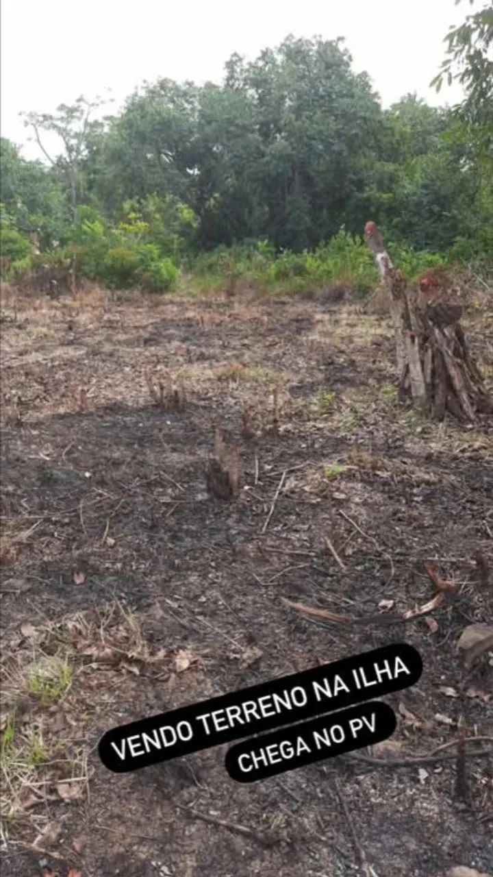 Terreno na ilha  - Foto 3