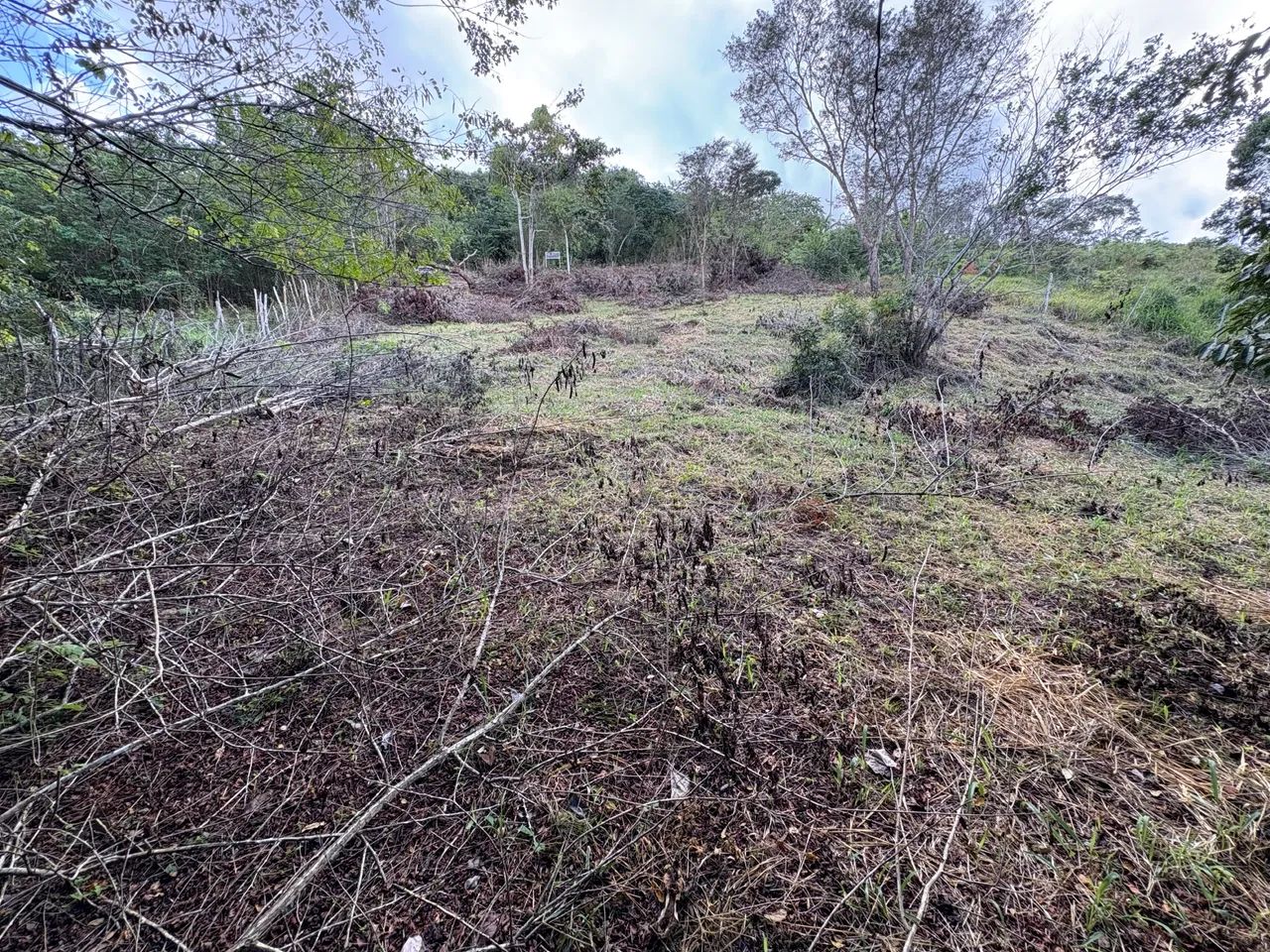 Primeira imagem do imóvel