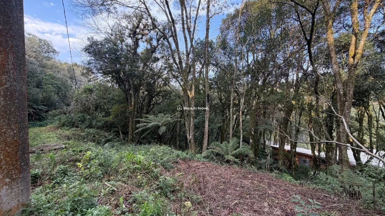 Terreno com Projeto em Canela! - Foto 4