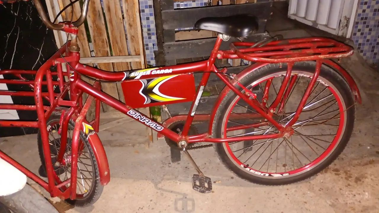 Bicicleta Cargueira 
